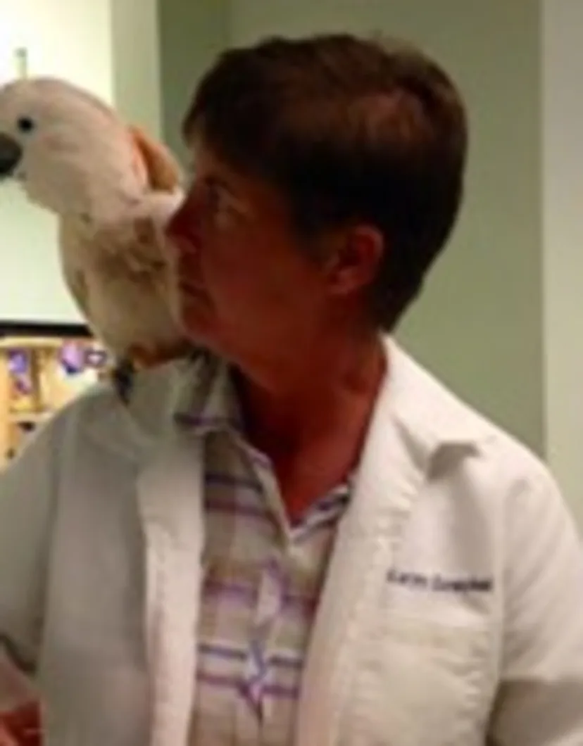 Dr. Karyn Goeckel in University Animal Clinic